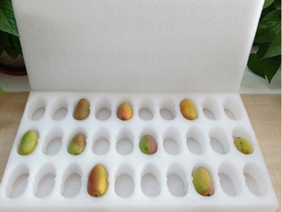 專業生產設計研發珍珠棉紙箱配套包裝團隊為您的產品報價護航